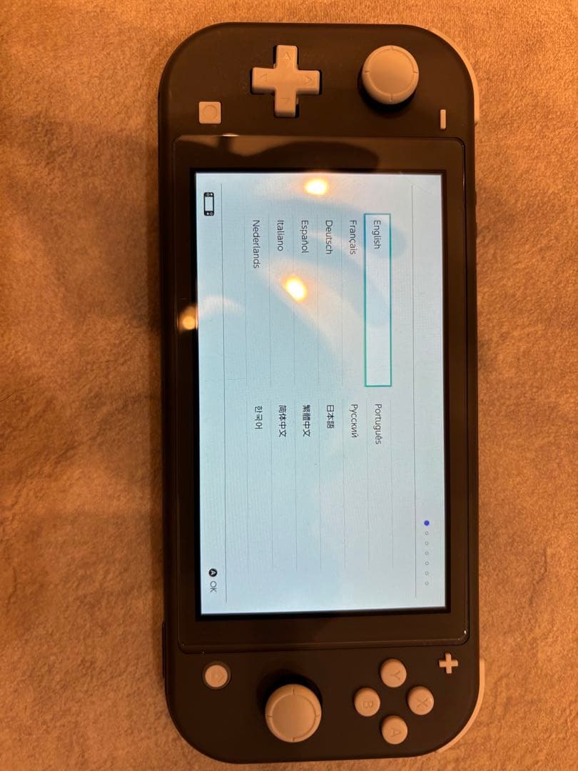 Nintendo Switch Lite グレー 本体　SDカード付属