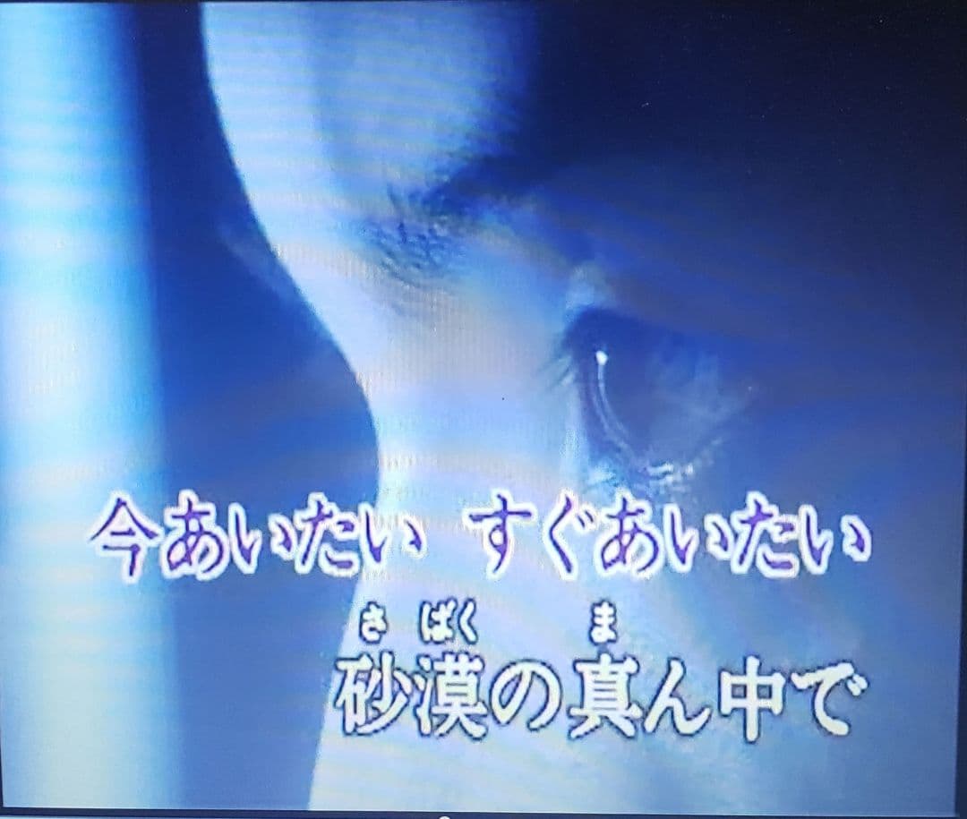 第一興商 カラオケ VCD『B'z 他 』全16曲です。