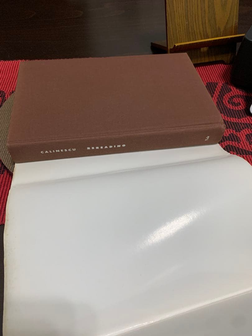 希少　Rereading Matei Calinescu