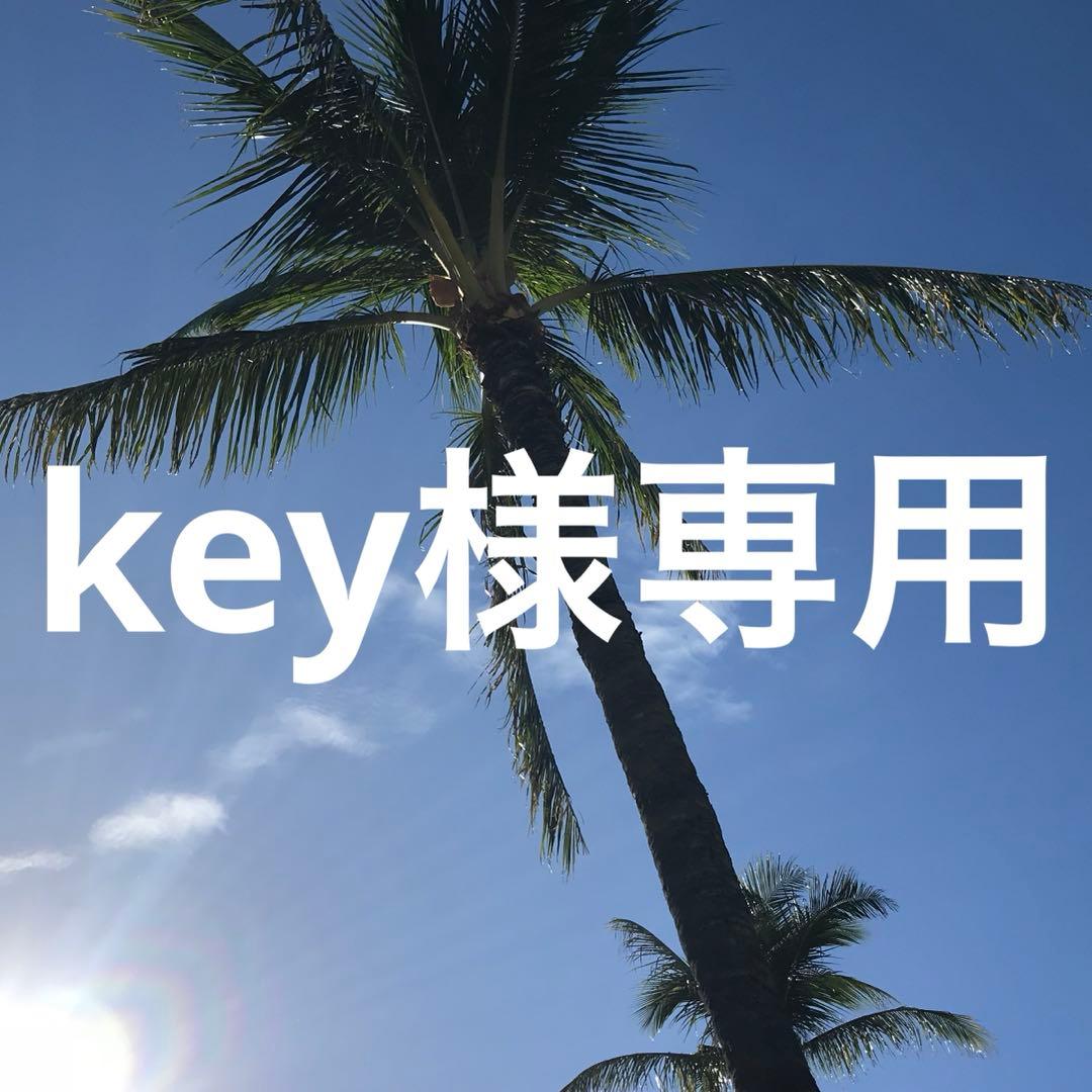 洗顔料 key