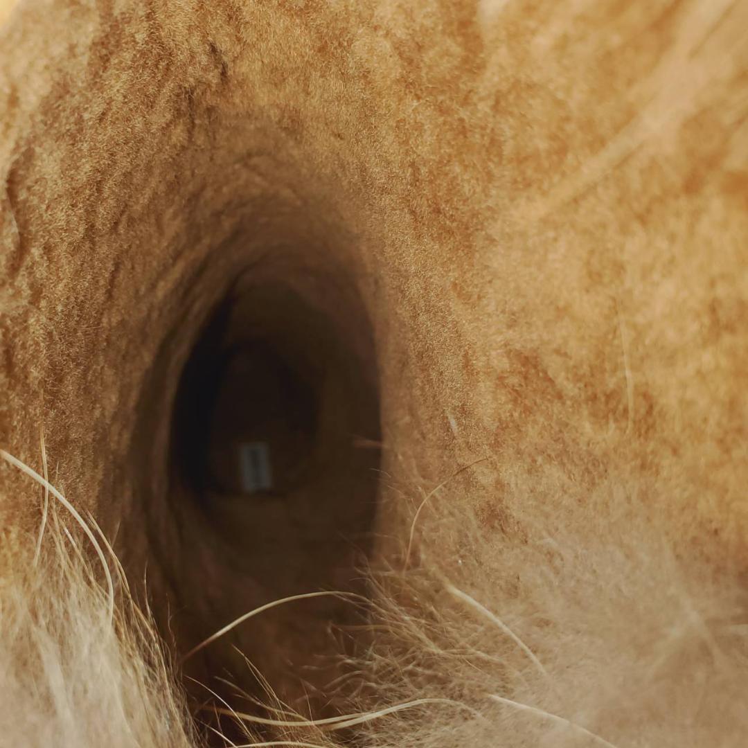 ★マノロブラニク　ロングブーツ　ステッチ　ブラウン　ラビットファー×スエード