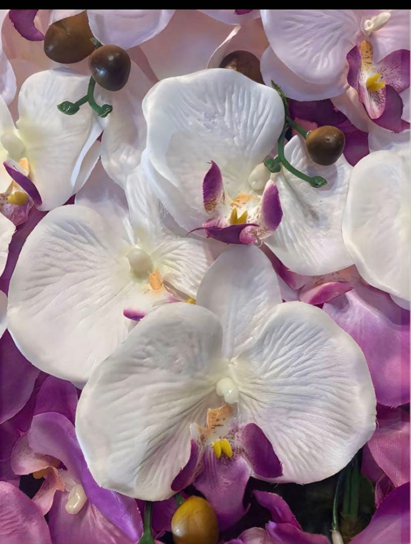 光触媒　人工観葉植物　ウォールグリーン　フェイクグリーン　胡蝶蘭8250tp