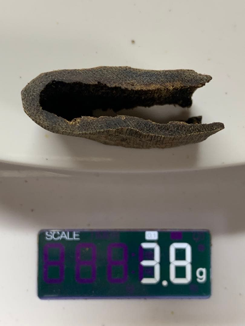 極上黒伽羅 沈香原木 香木 重さ:3.8g