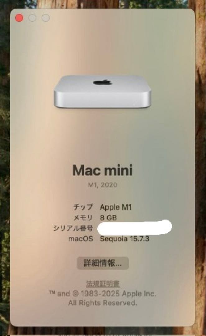Apple Mac mini 2020年モデル M1 / 8GB / 256GB