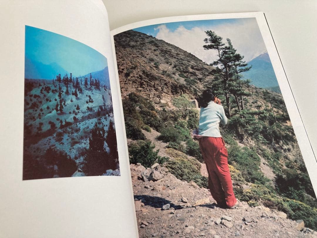 【プリント2枚付き、サイン入り】Vincent Delbrouck