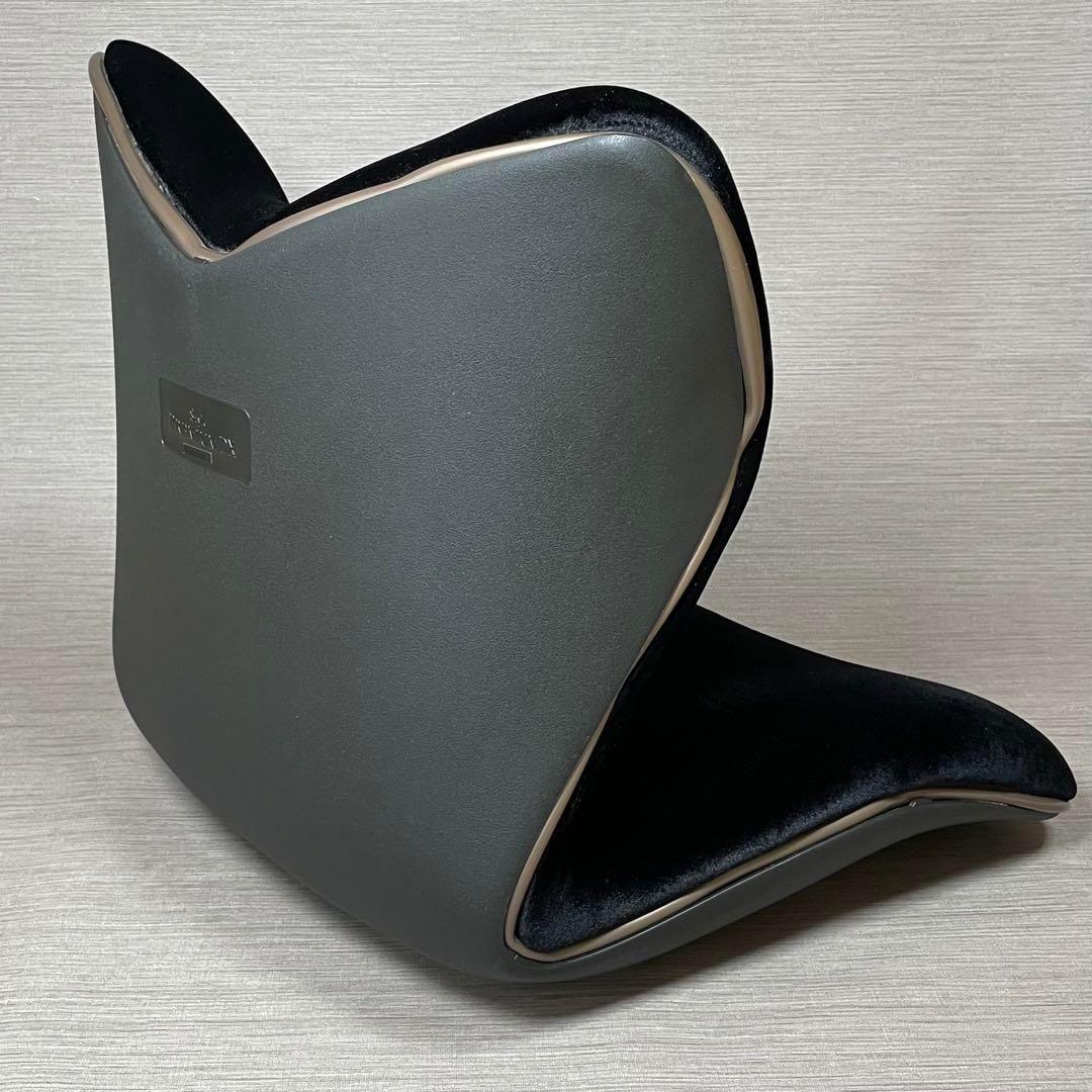 美品✨Style PREMIUM DX スタイルプレミアムデラックス ブラック