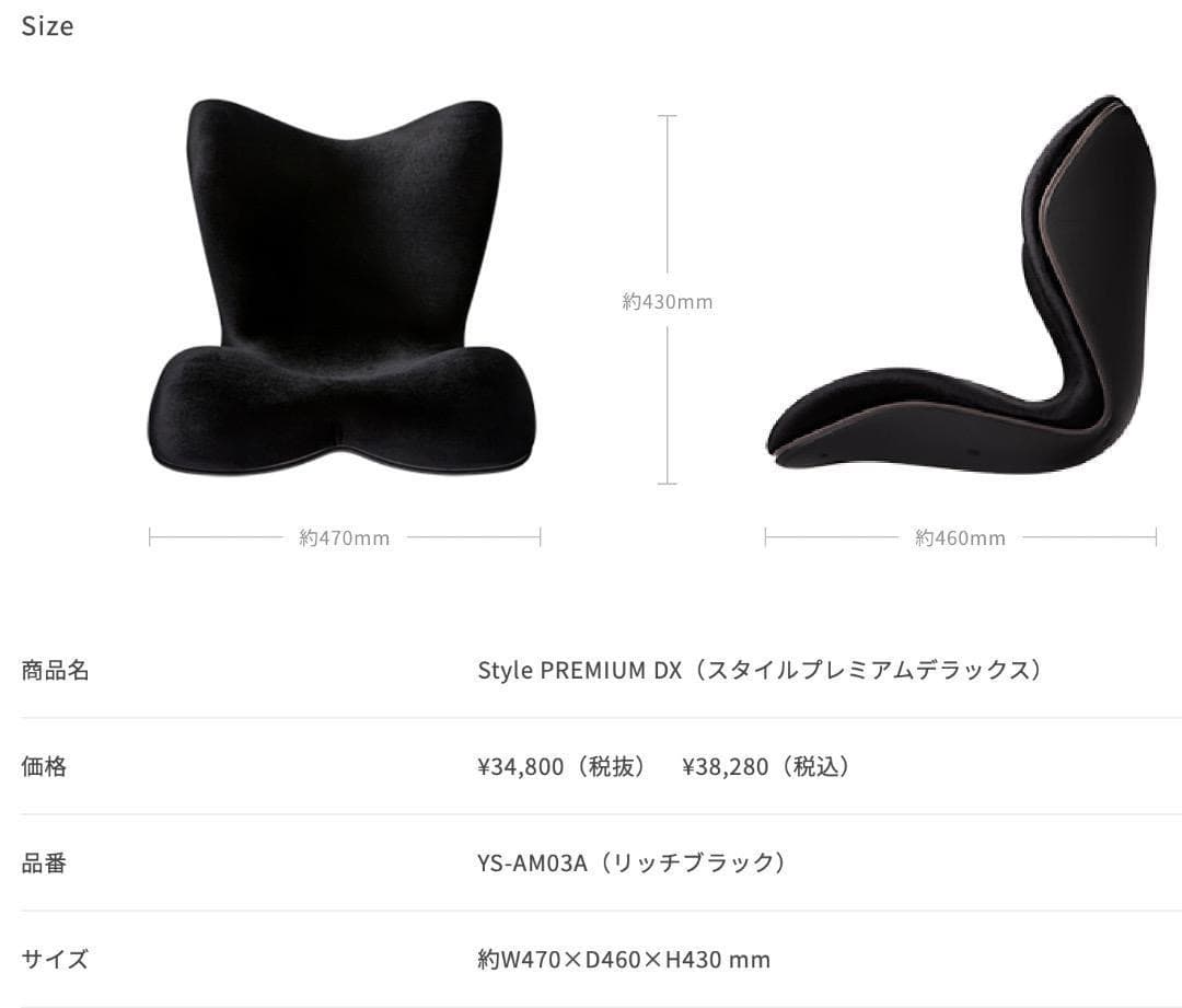 美品✨Style PREMIUM DX スタイルプレミアムデラックス ブラック