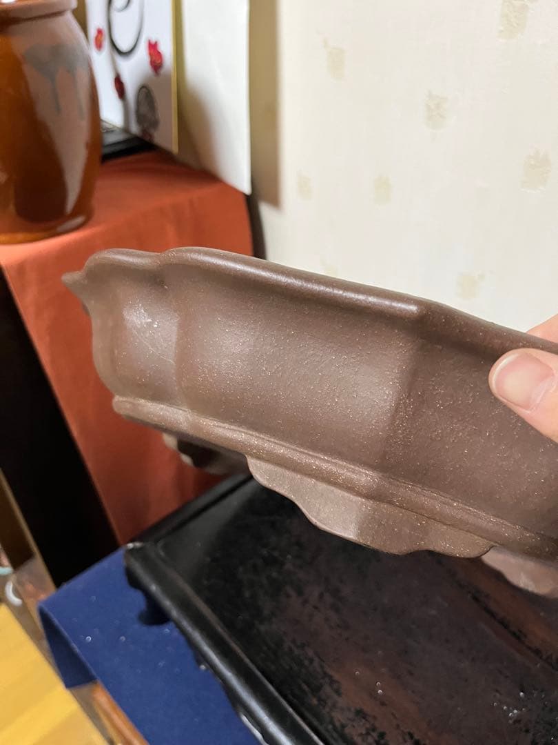 473 盆栽　盆栽鉢　植木鉢　中国鉢