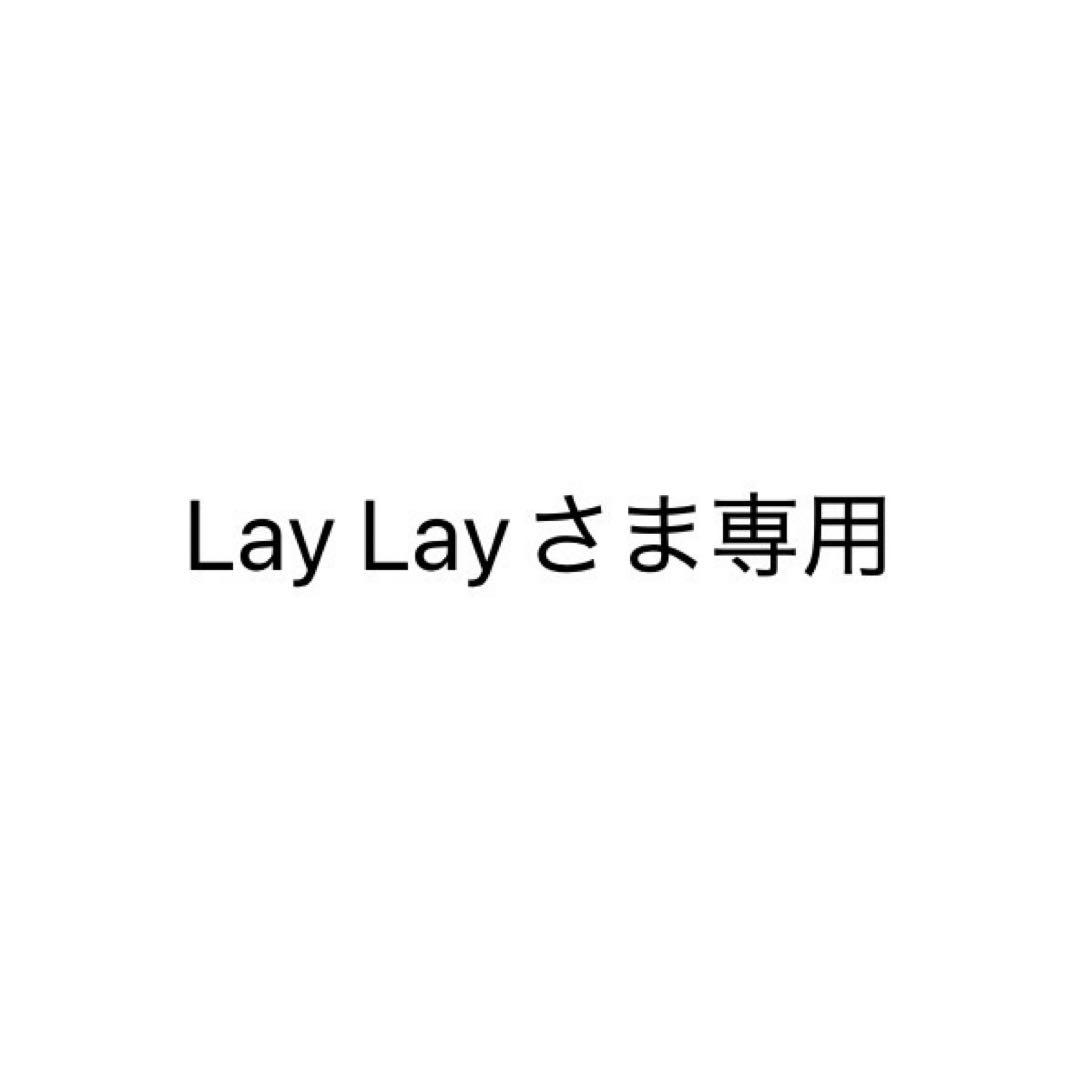 Lay Layページ　Steam Deck