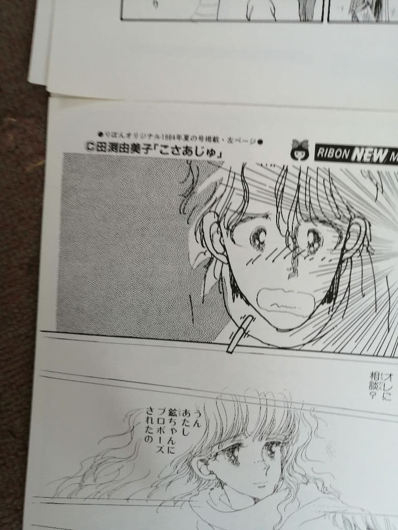 Ｗ最終値下げ‼️高級品‼️希少品‼️りぼん複製原画集　全14枚‼️