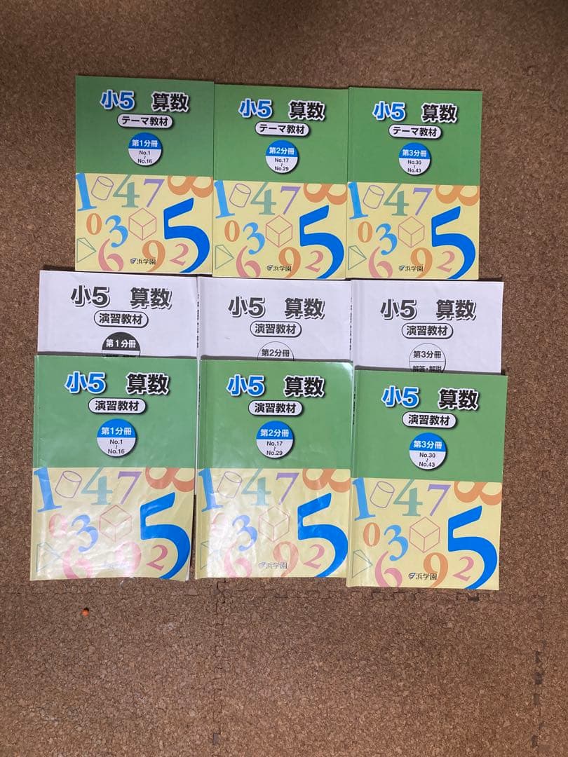 2024年度使用　浜学園　小5 テーマ教材　演習教材　算数　中学受験　マスター