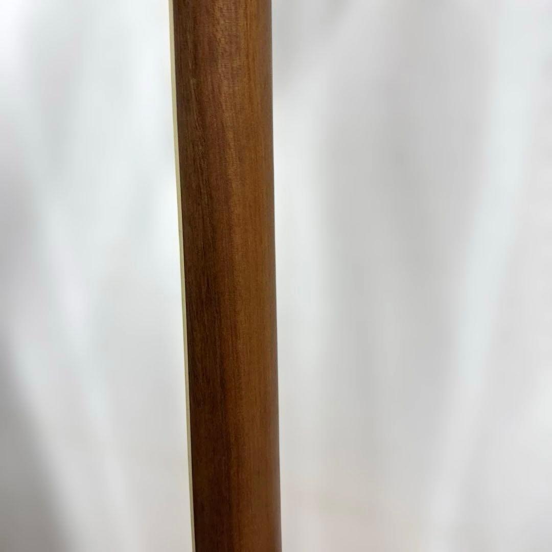 ARIA エレアコギター AMB-35