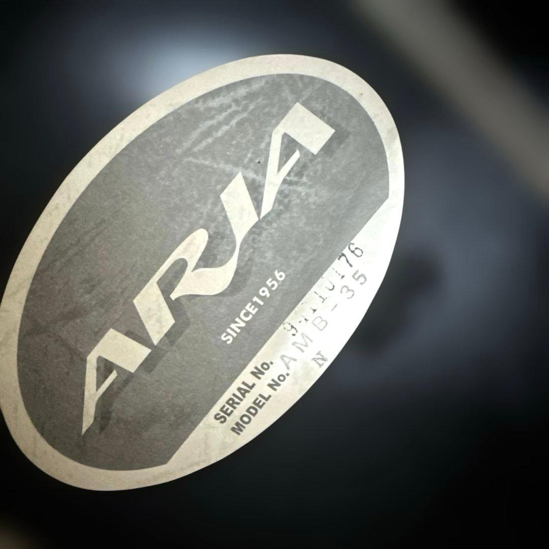 ARIA エレアコギター AMB-35