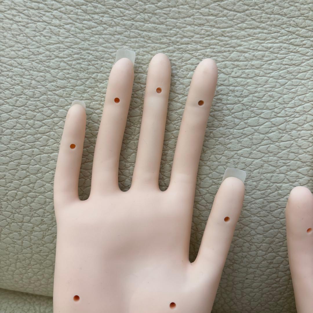 タイムセールネイリスト検定JNEC認定ハンドモデルネイリスト検定教科書と検定問題