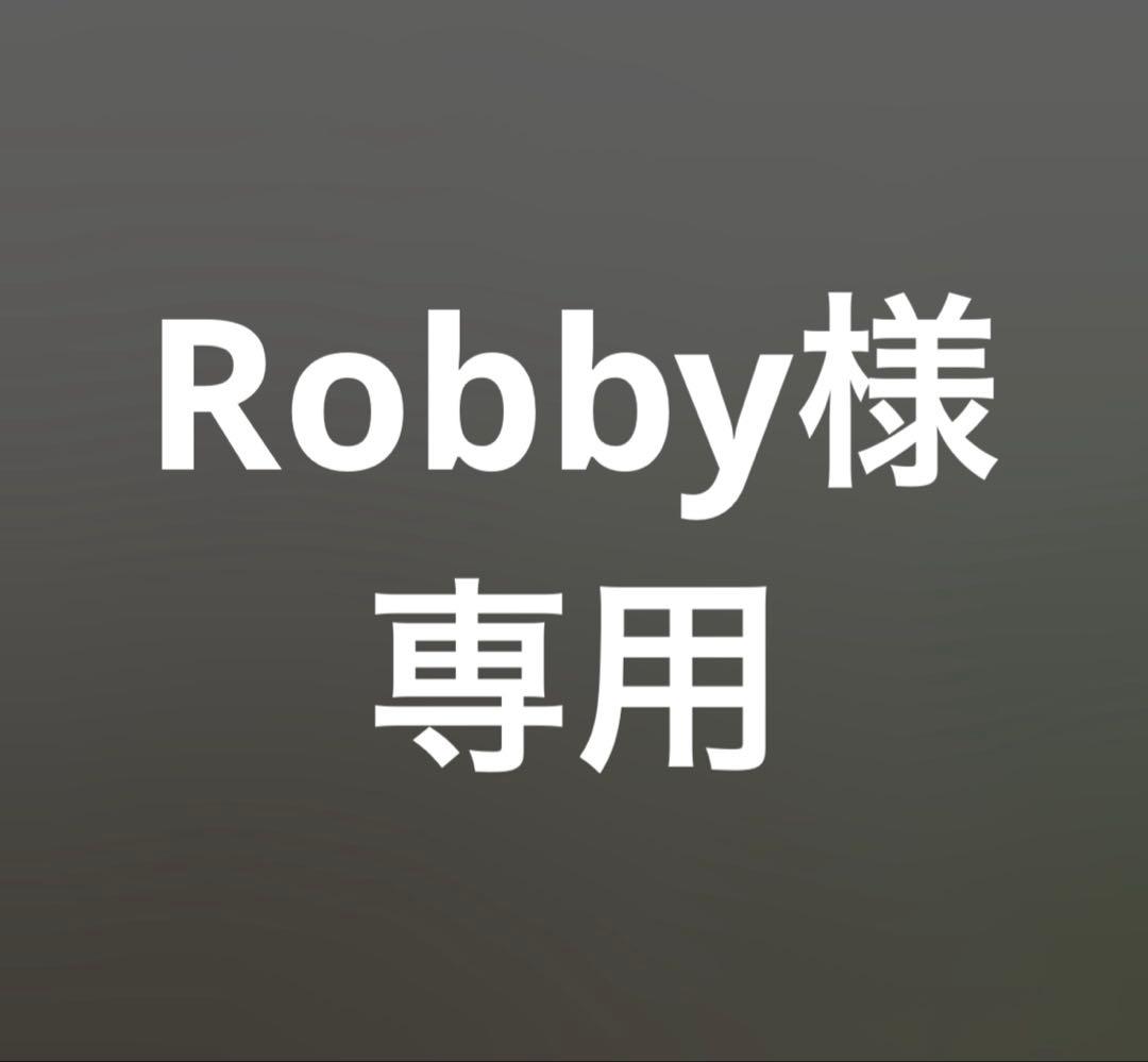 その他 Robby