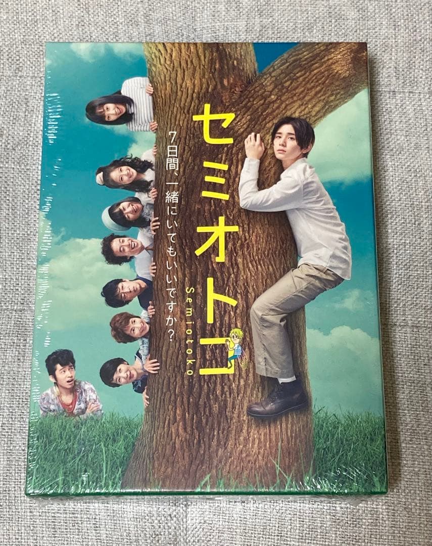 【新品未開封】セミオトコ DVD-BOX〈5枚組〉 山田涼介 ドラマ