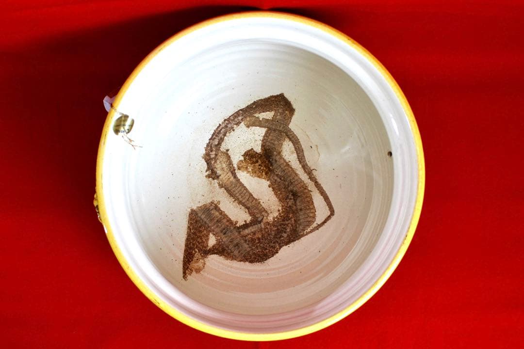 イタリア雑貨【デルータ　マヨルカ焼き　蓋付きセンターピース】