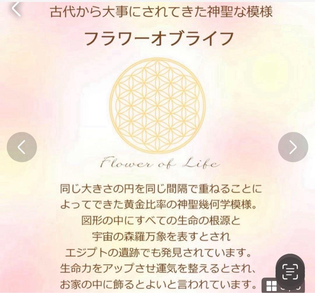 つねりん　雪の結晶　9点