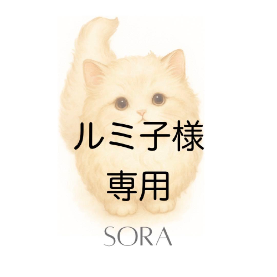 【ルミ子】　No.27プリンセス②×6セット