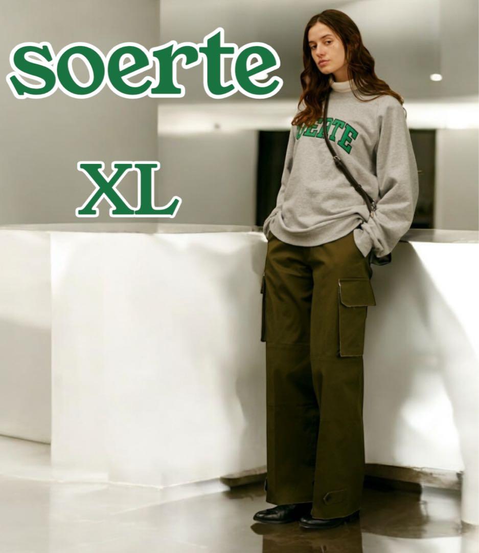 【まとめ売り】ソエルテカーゴパンツ&ZARAレザーシューズ