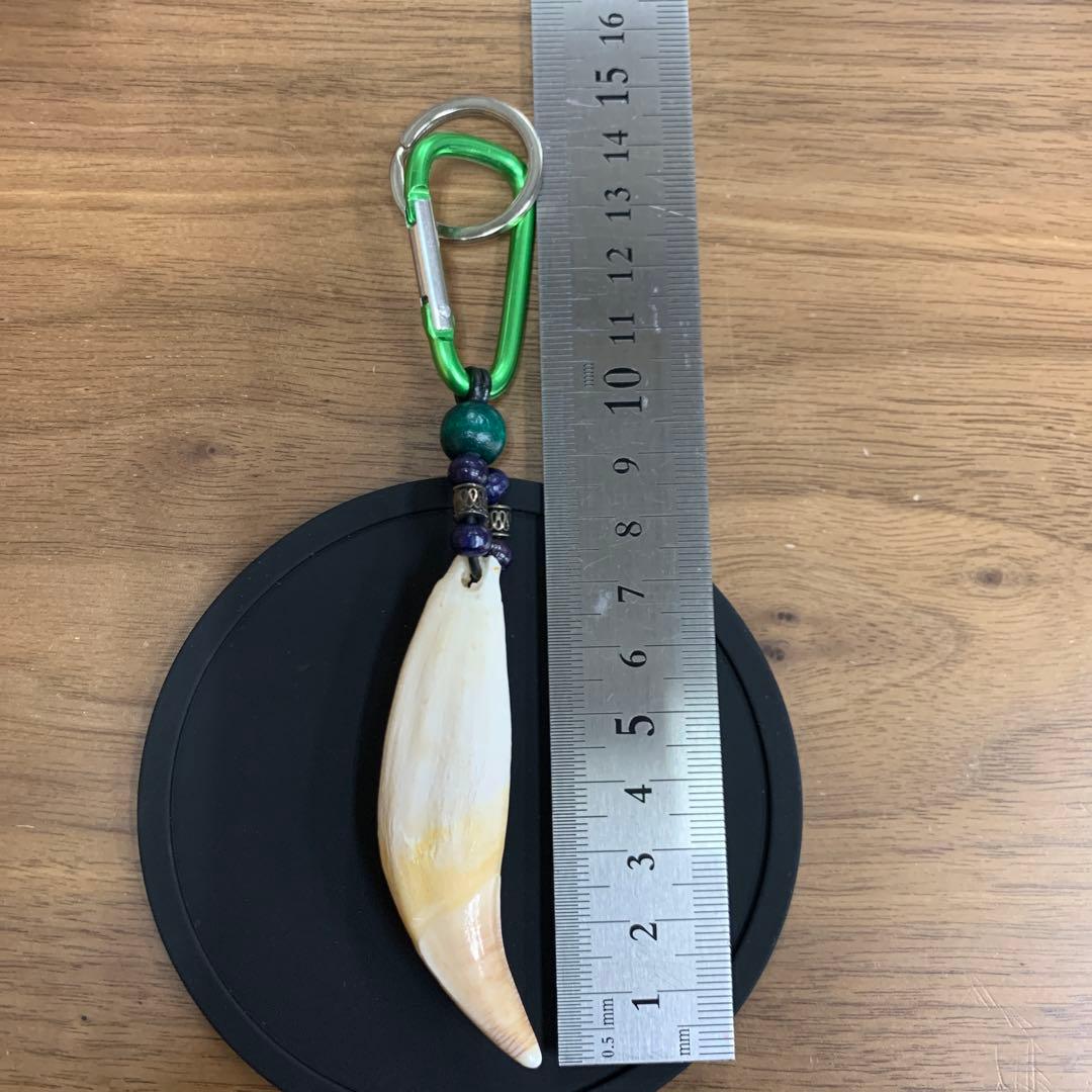 ヒグマ 熊 キバ 牙 キーホルダー