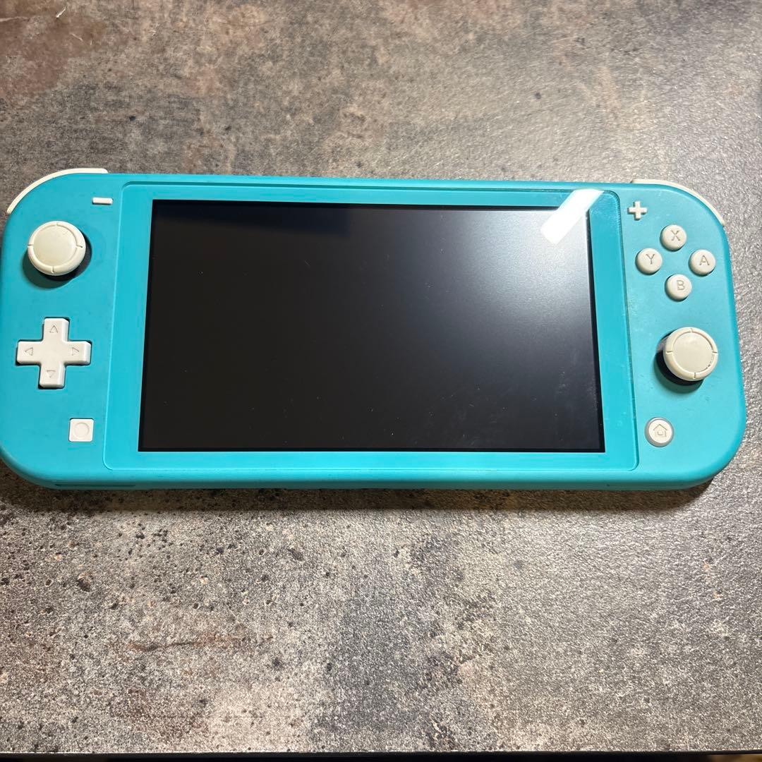 SwitchLightターコイズ＋Light用ケース　ミツキさん専