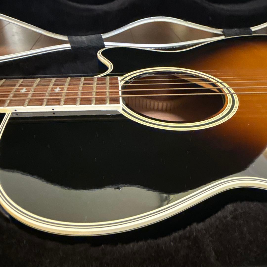 ギター Takamine DSP-110