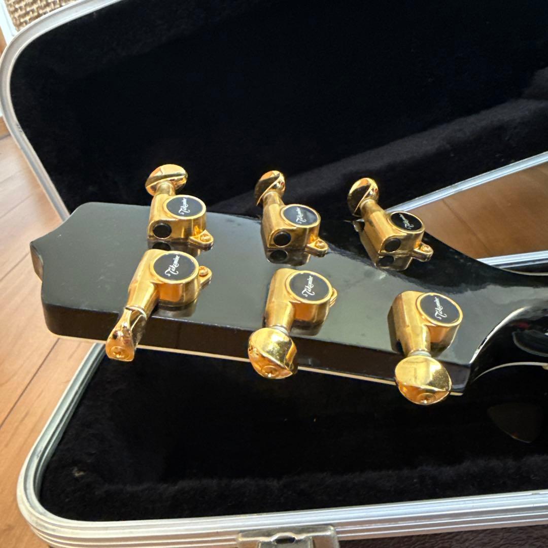 ギター Takamine DSP-110