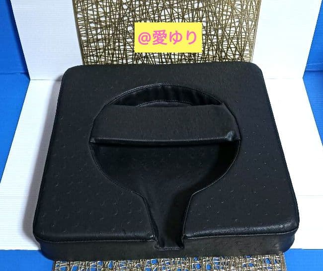 政木研究所⭐政木和三⭐神経波磁力線発生器専用♦コイルリング用クッション♦収納袋付