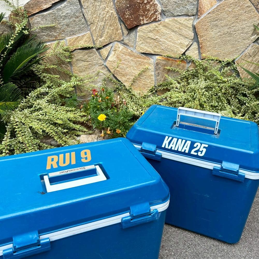 【m_o_a_family専用】お名前 ＆ 背番号ステッカー 6cm 15枚