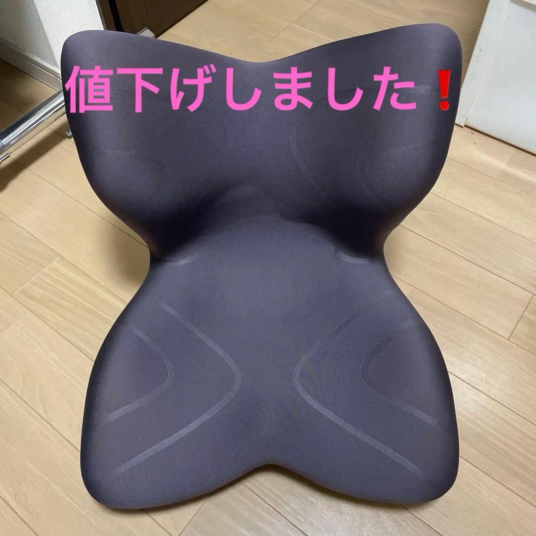 Styleスタイルプレミアム 姿勢矯正用クッション ブラウン