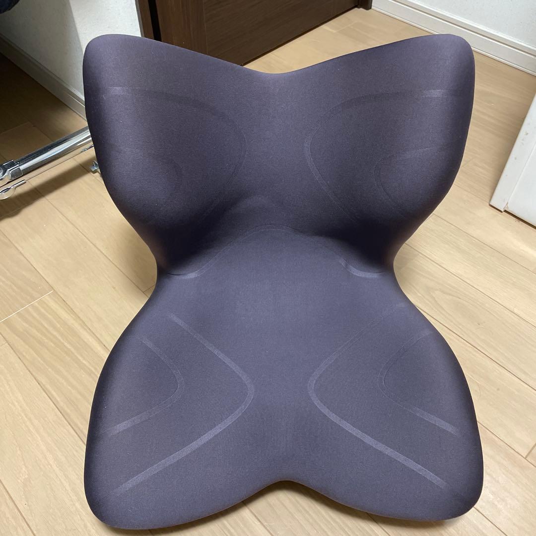 Styleスタイルプレミアム 姿勢矯正用クッション ブラウン