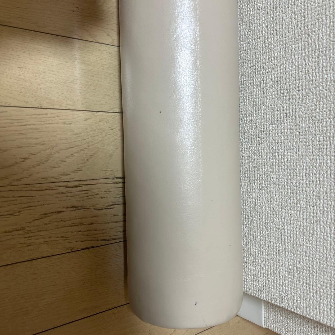 LPN ストレッチポールMX スタートBOOK エクササイズDVD付き