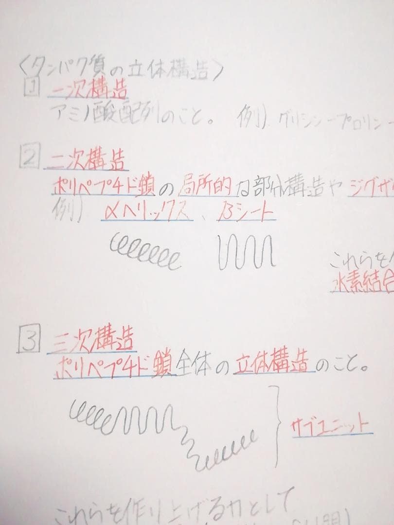 鉄緑会　李先生による生物基礎講座講義ノート集　全セット　駿台　河合塾 　東進