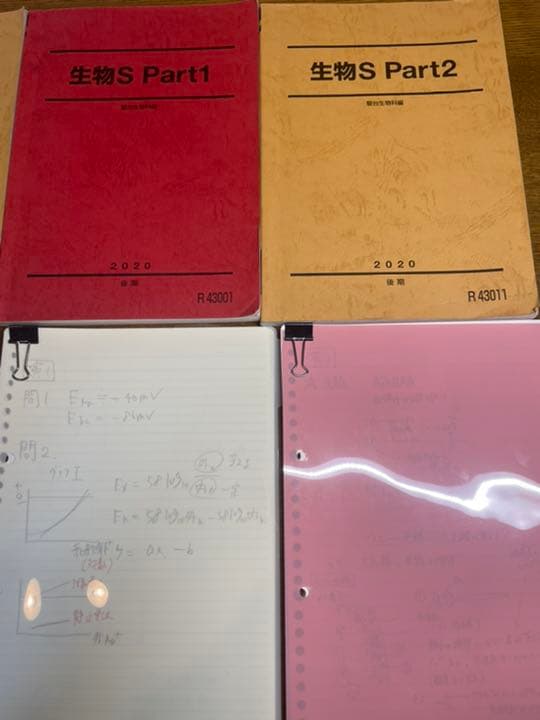 駿台予備校　高卒用　生物Sテキスト　全分野完全セット