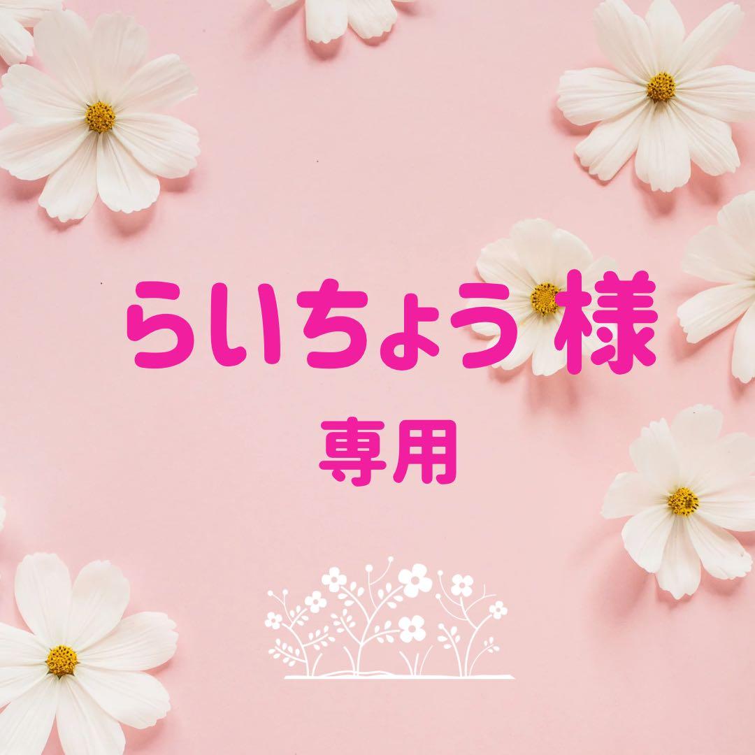 らいちょう　カクタスパーチ　3本セット