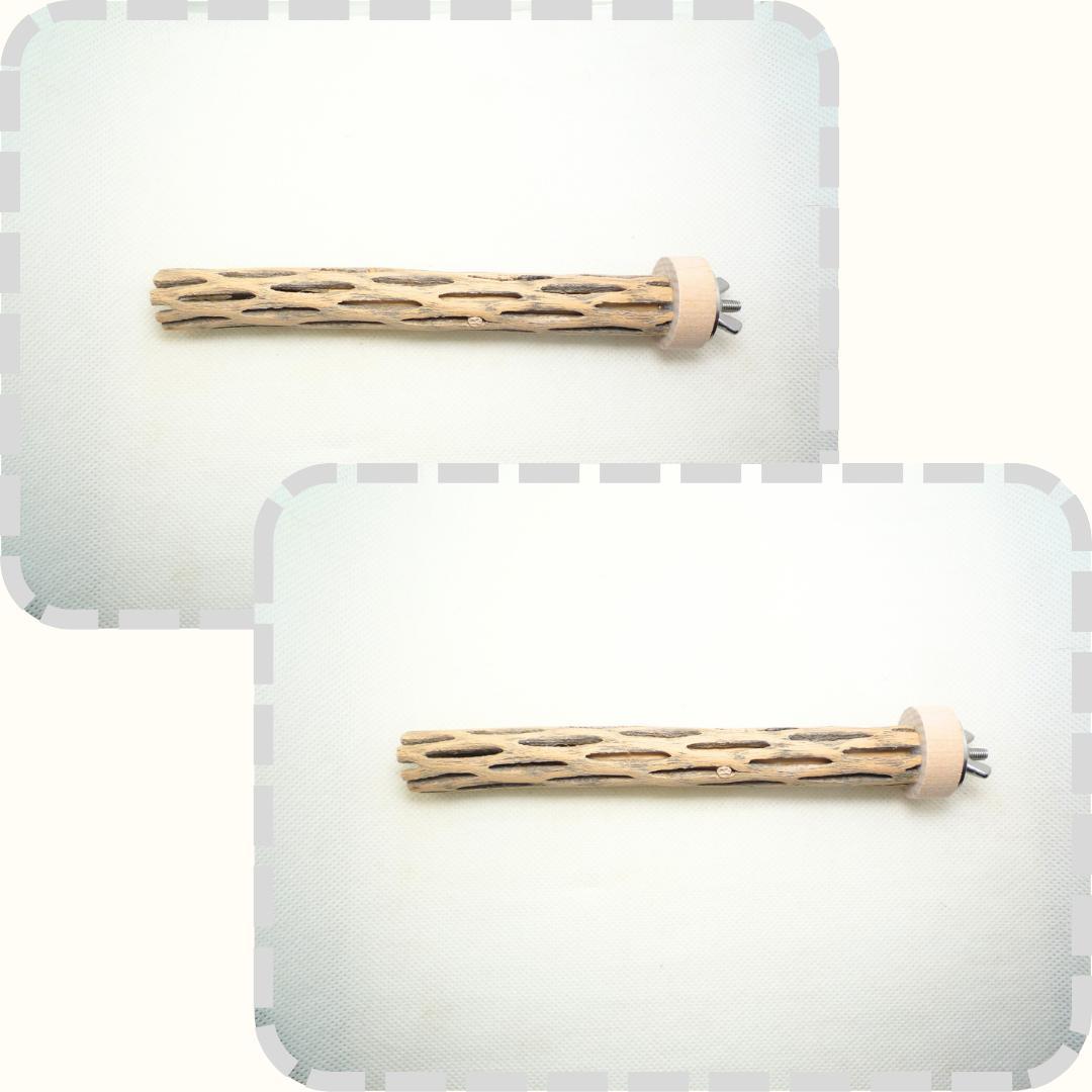 らいちょう　カクタスパーチ　3本セット