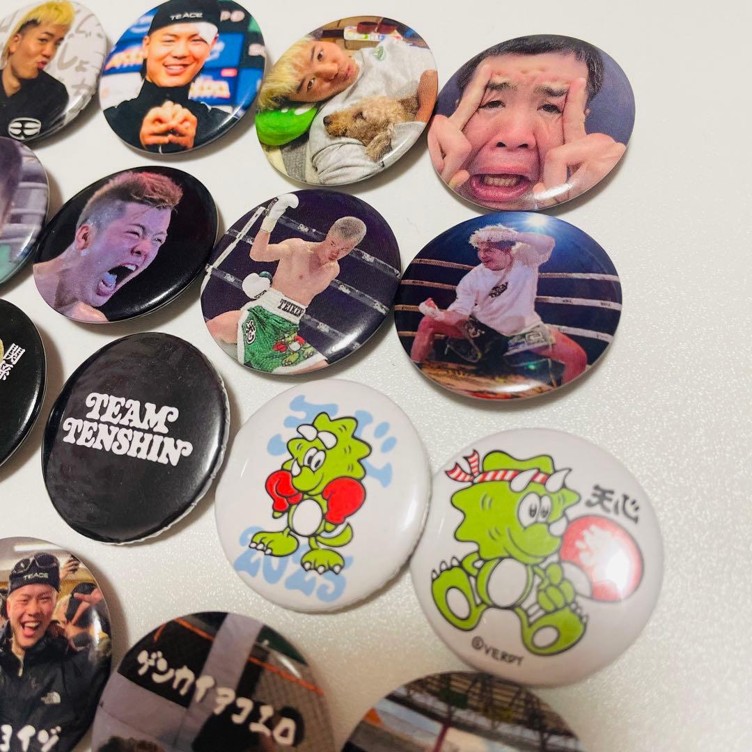 那須川天心☆缶バッジ18個セット