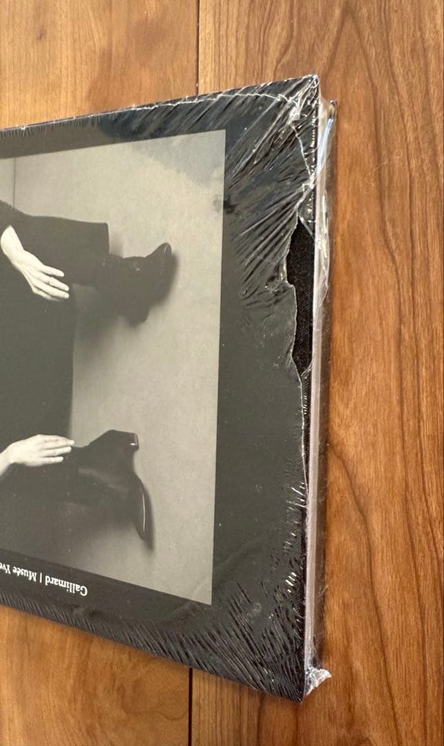 BETTY CATROUX YVES SAINT LAURENTイブサンローラン