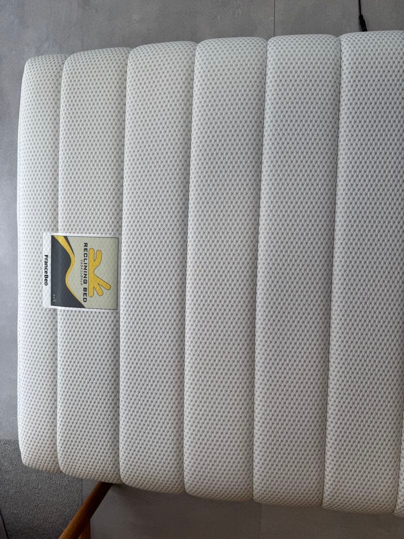 フランスベッド 電動リクライニングマットレス ルーパームーブ RP-1000N