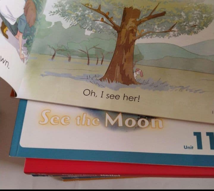 grapeseed English リーディング　フォニックス