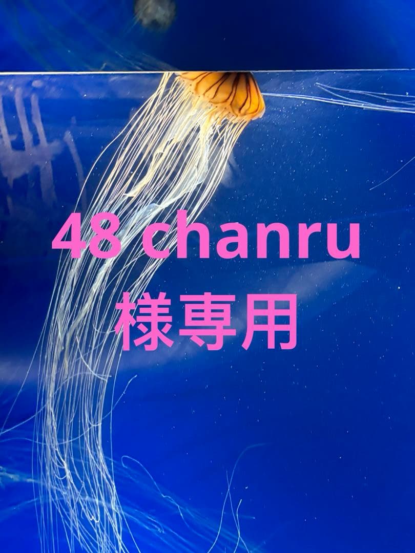 トライアルセット・サンプル 48 chanru