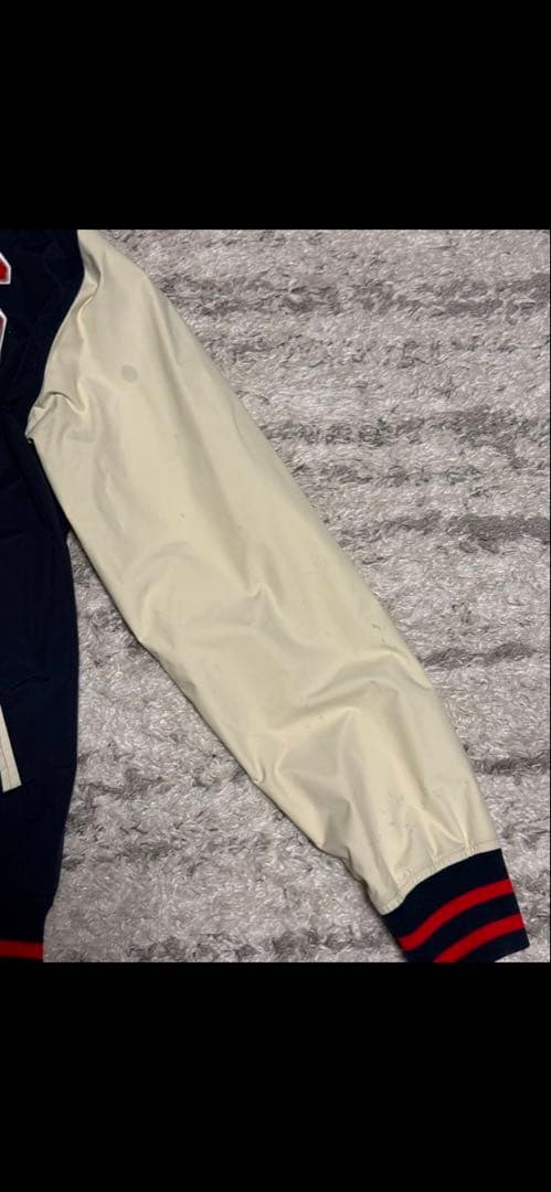 【雪代縁】ステューシー　ナイロンジャケット