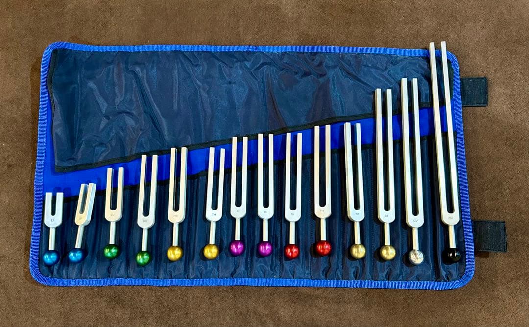 アラン・セールス　経絡音叉14本セット