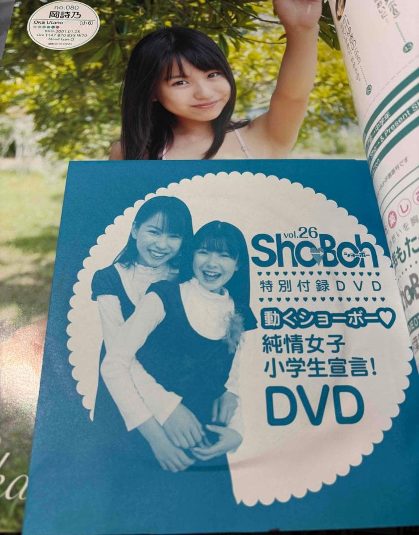 【DVD未開封・美品】Sho-Boh vol.26 岡詩乃・木村葉月