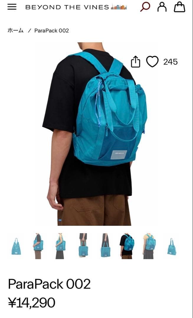 BEYOND THE VINES parapack 002 リュック