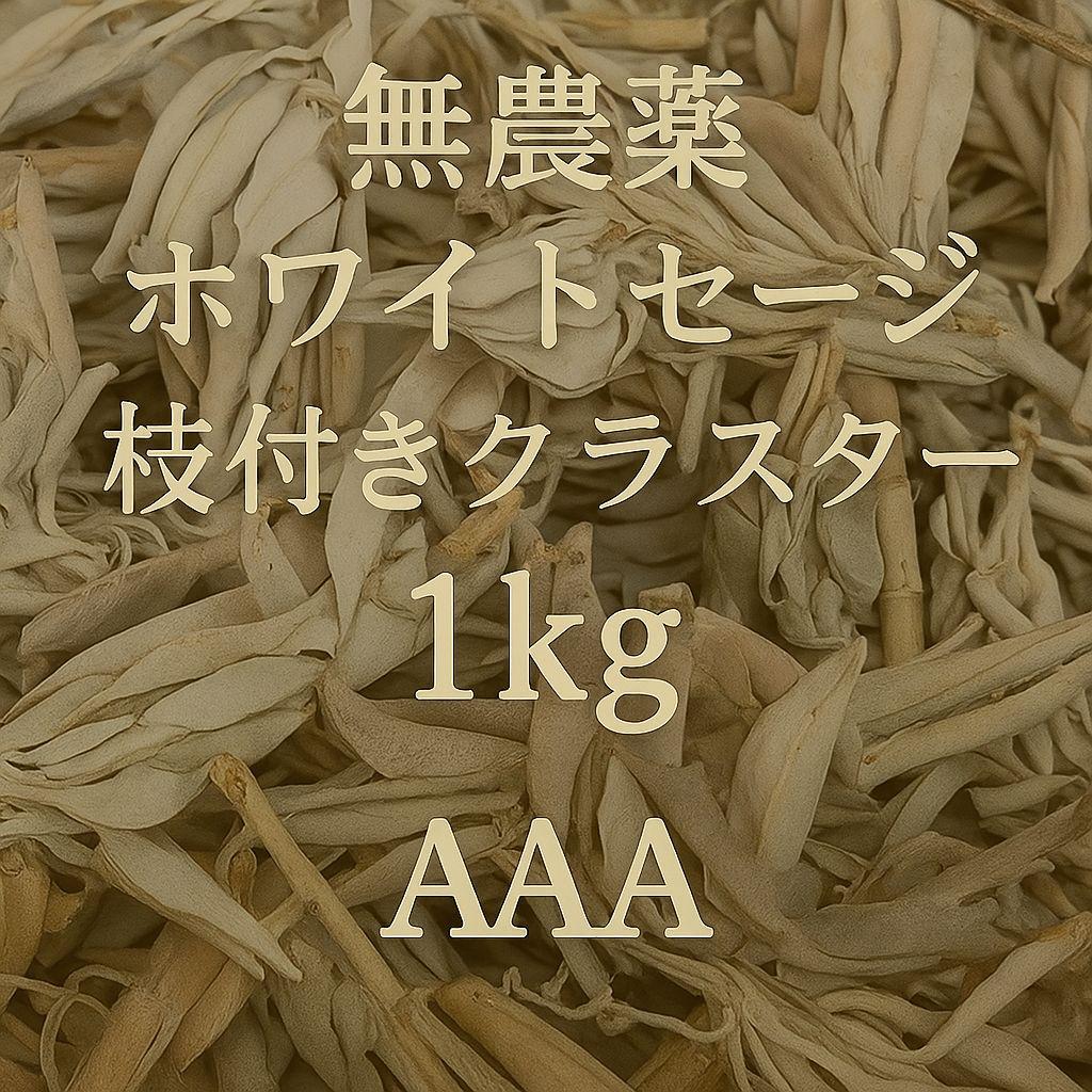 激安価格☆無農薬ホワイトセージ枝付き1kg　業務用価額ＡＡＡ