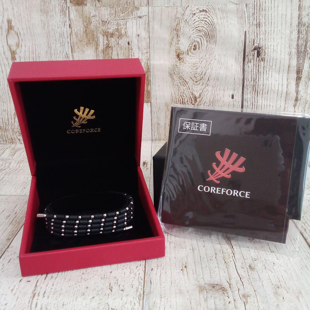 コアフォースループ SUS CFL70