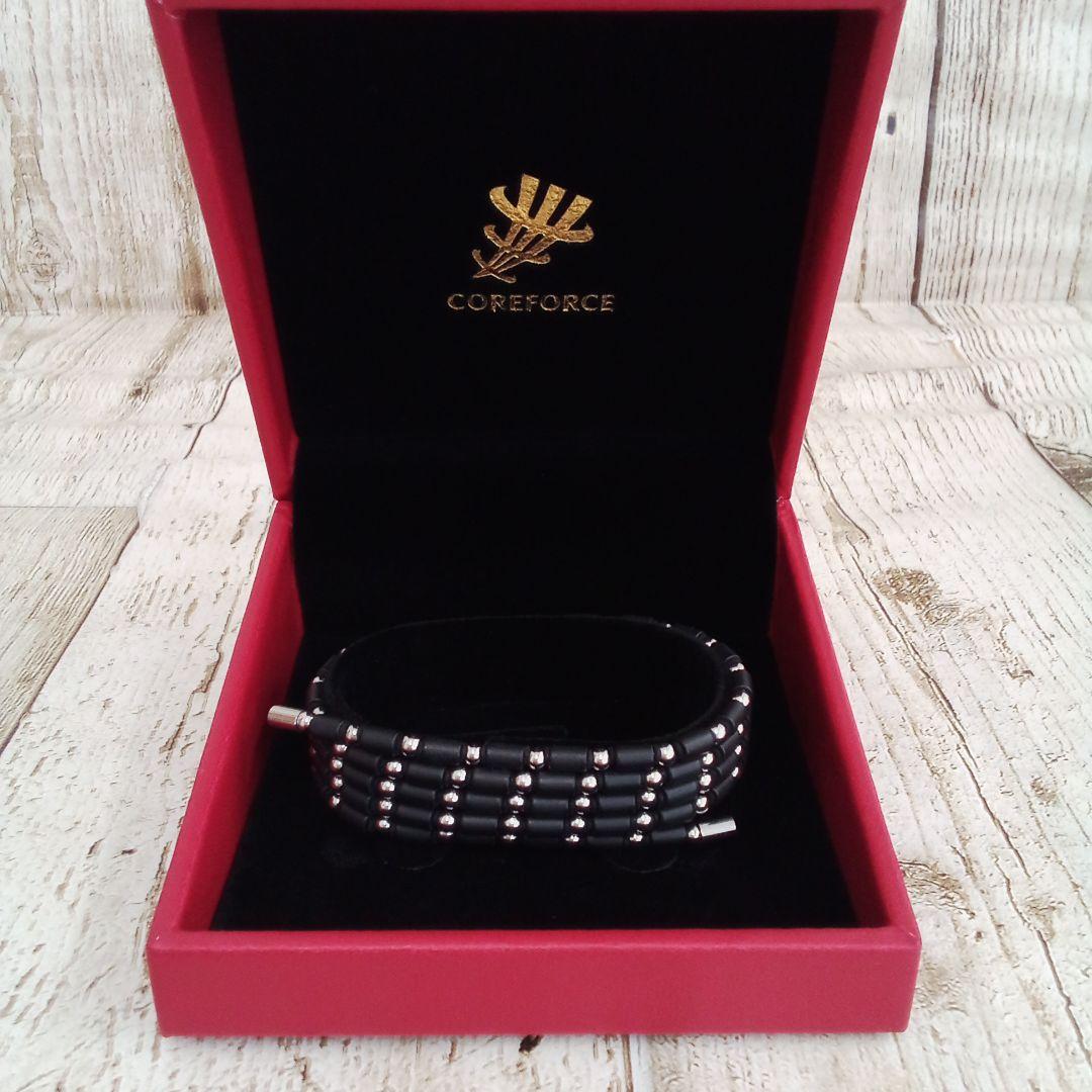 コアフォースループ SUS CFL70