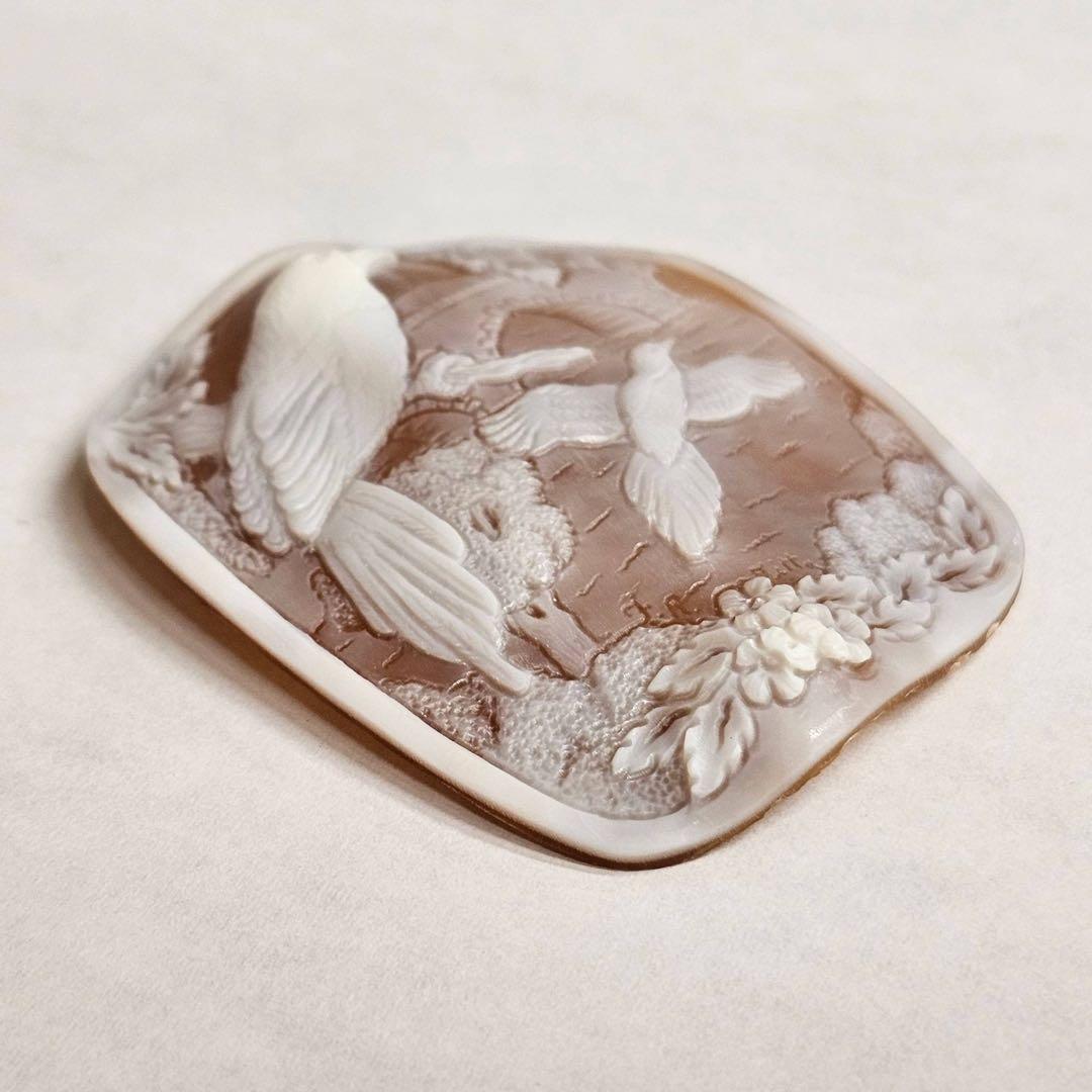 【F•R•ティッタ作】シェルカメオ ルース